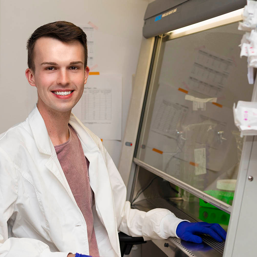 Helmlinger Lab #LookInTheLab: How… | Stowers Institute for Medical Research