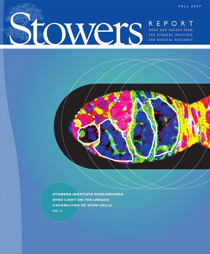 Cover of the 2007 Fall Stowers Report, the newsletter of the Stowers Institute