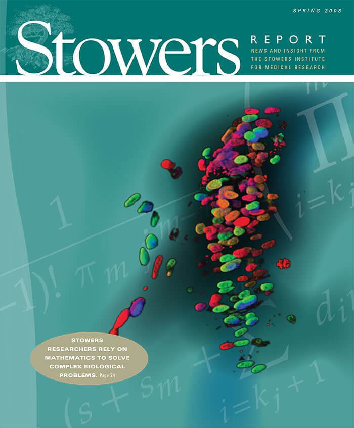 Cover of the 2008 Spring Stowers Report, the newsletter of the Stowers Institute