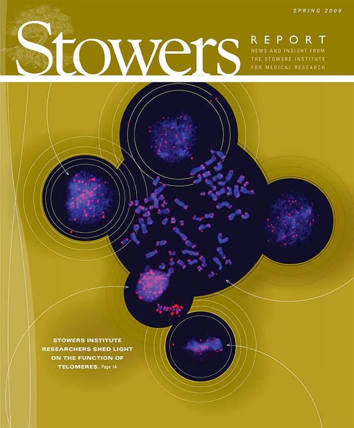 Cover of the 2009 Spring Stowers Report, the newsletter of the Stowers Institute