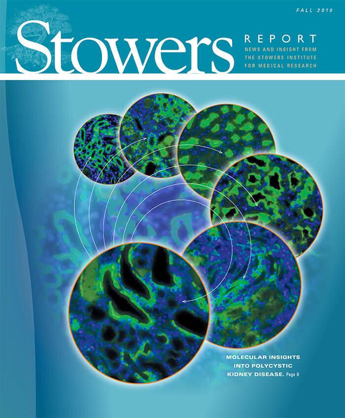 Cover of the 2010 Fall Stowers Report, the newsletter of the Stowers Institute
