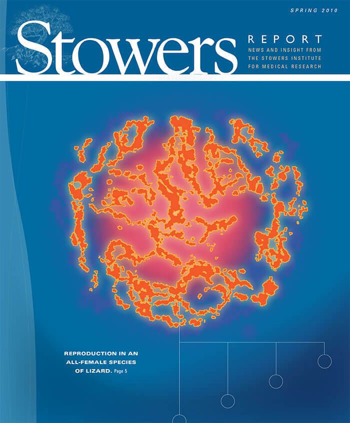 Cover of the 2010 Spring Stowers Report, the newsletter of the Stowers Institute