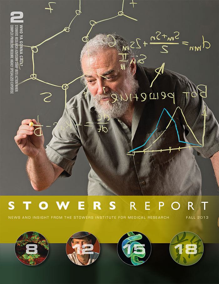 Cover of the 2013 Fall Stowers Report, the newsletter of the Stowers Institute