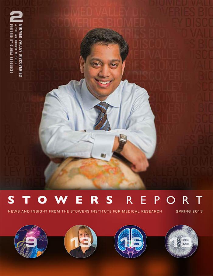 Cover of the 2013 Spring Stowers Report, the newsletter of the Stowers Institute