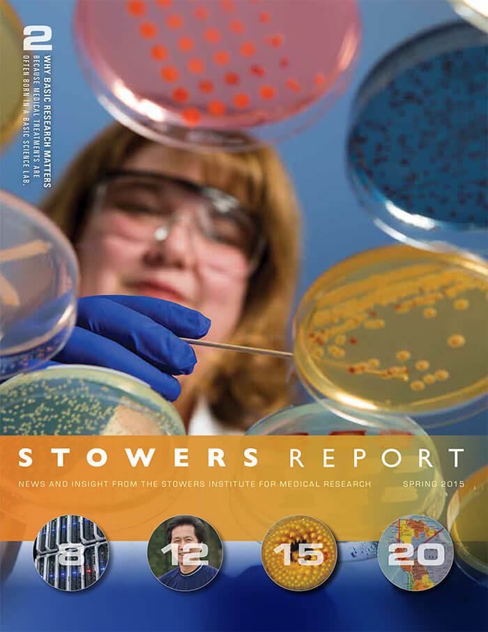 Cover of the 2015 Spring Stowers Report, the newsletter of the Stowers Institute