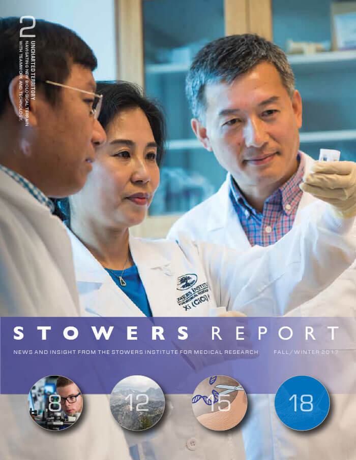 2017 Fall Stowers Report