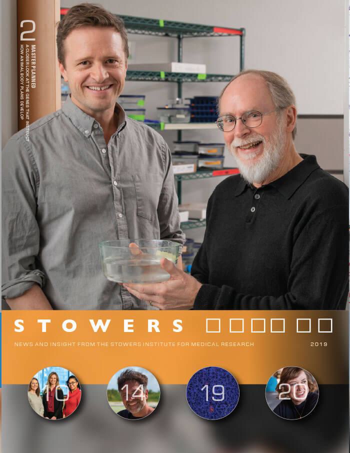 2019 Stowers Report