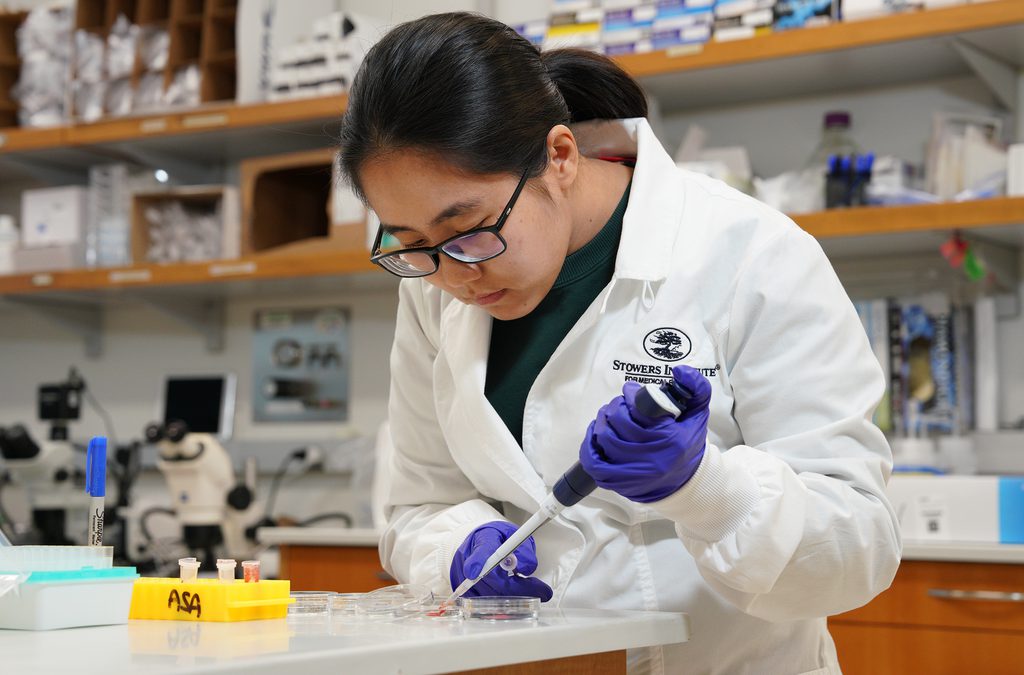 Stowers Institute for Medical Research | Education & Outreach