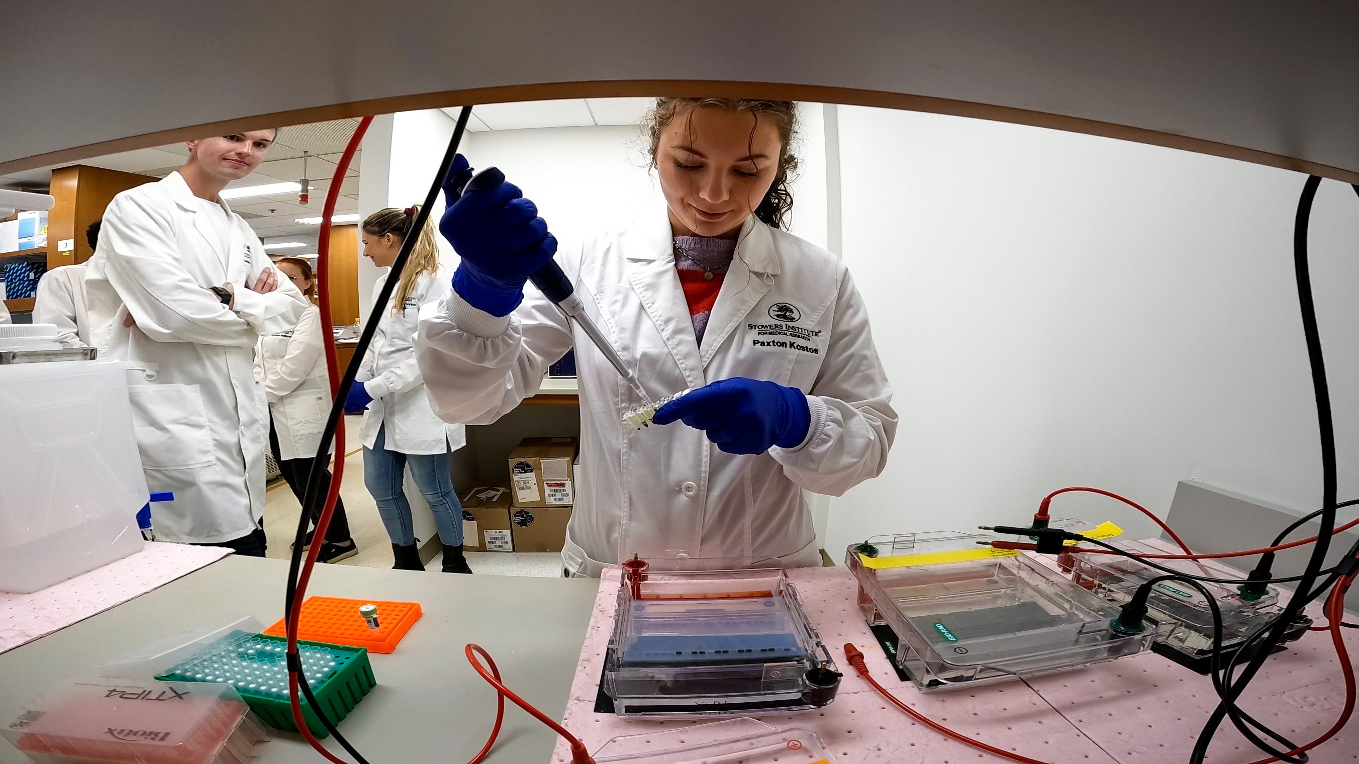 Stowers Institute