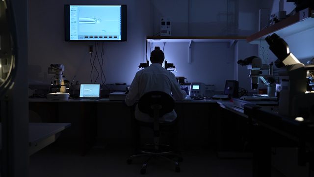 Tim Corbin, microinjection, May 2, 2024, flagship.David Stern and lab members move into their space Monday, Mar. 2, 2025.