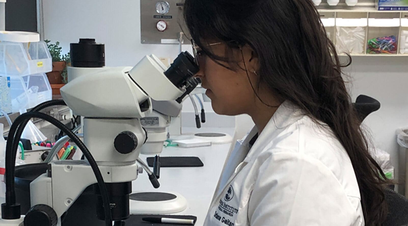 Scientist looking into a microscope