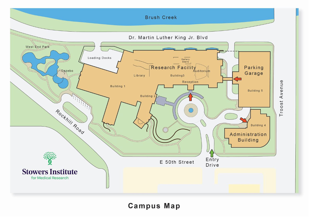 Stowers Research… | Stowers Institute for Medical Research