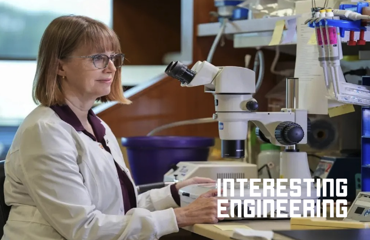 Home | Stowers Institute for Medical Research