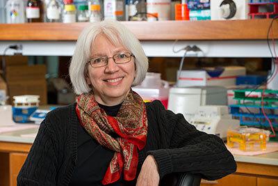 Susan Abmayr, PhD