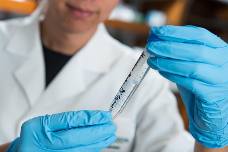 Scientist examining a pipette