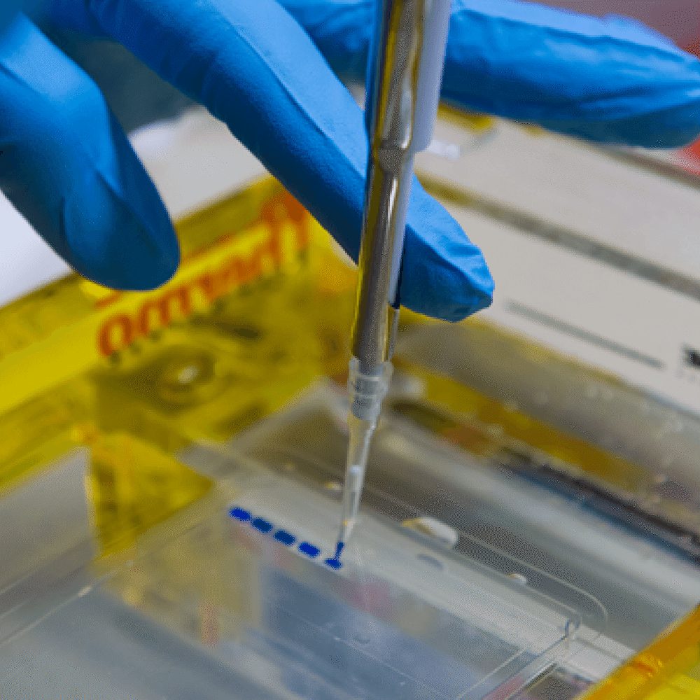 Stowers Institute for Medical Research | Education & Outreach