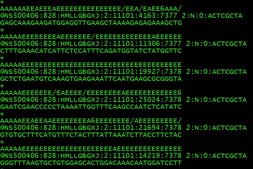 Sequencing data encoded in binary file format.