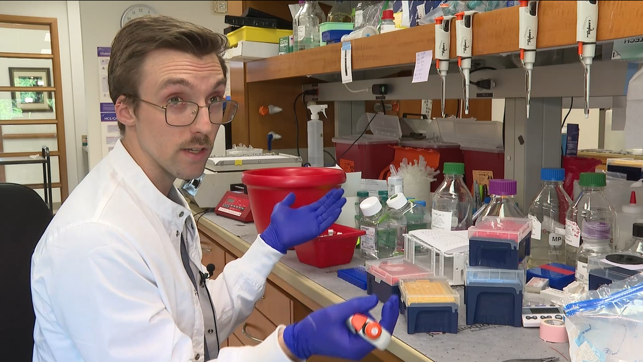 New research reveals how the… | Stowers Institute for Medical Research