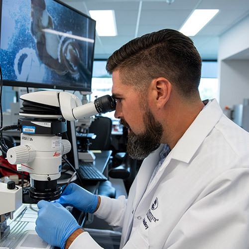 A research scientist in a Stowers Institute lab coat looking into a microscope
