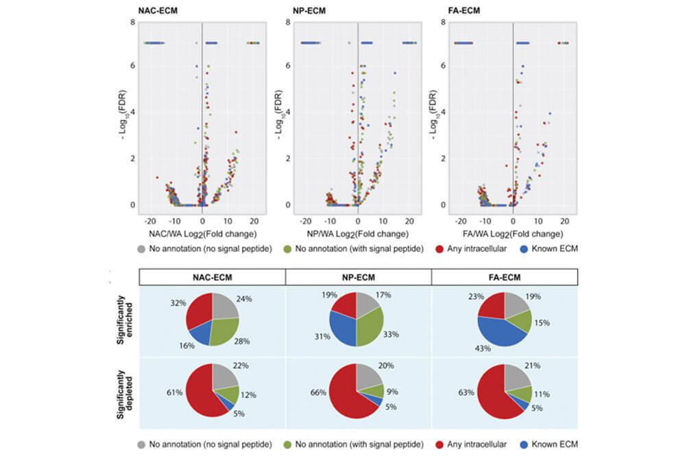 Scatter plots and pie charts depicting proteins enriched in different Extra-Cellular Matrix preparations. From Sonpho et al., Molecular  Cell Proteomics 2021.