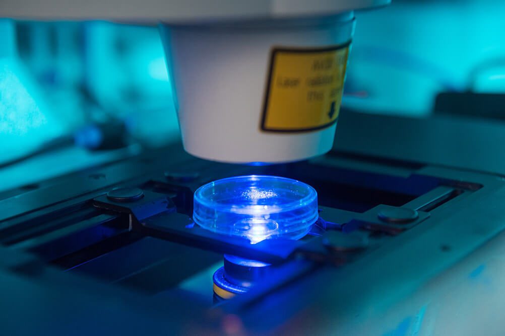 Stowers Institute for Medical Research | Our Labs