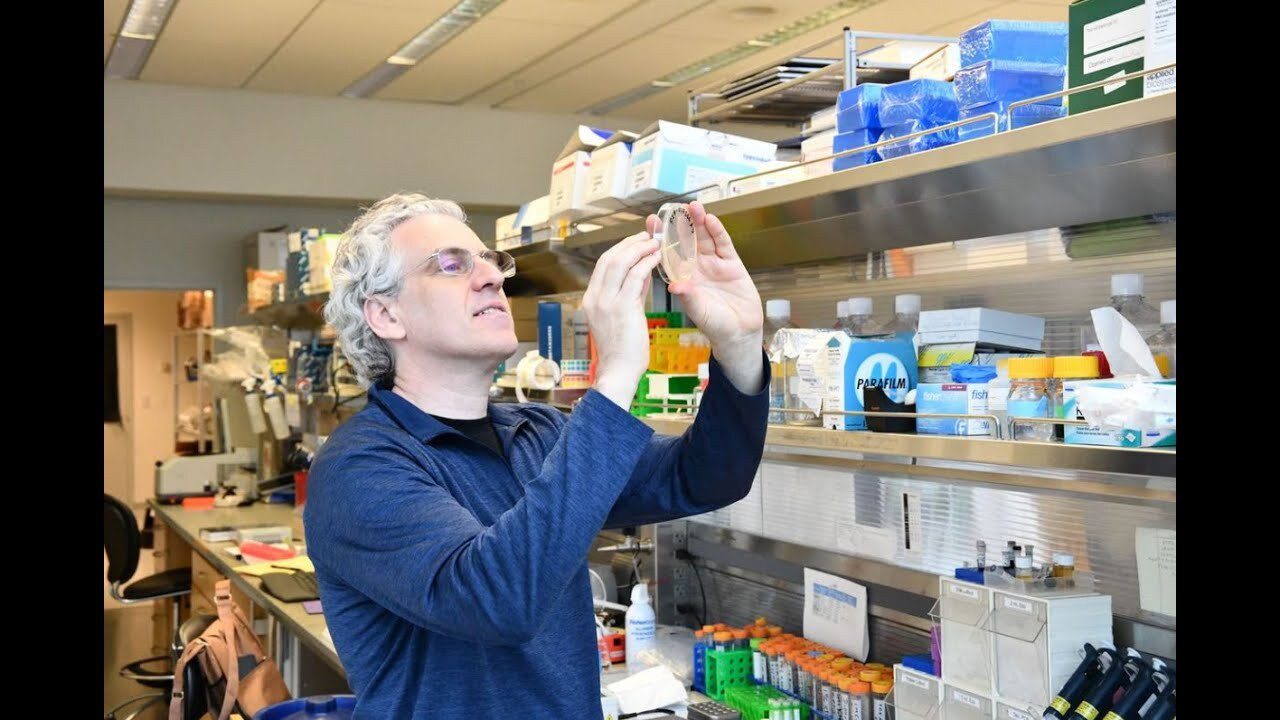 New research reveals how the… | Stowers Institute for Medical Research
