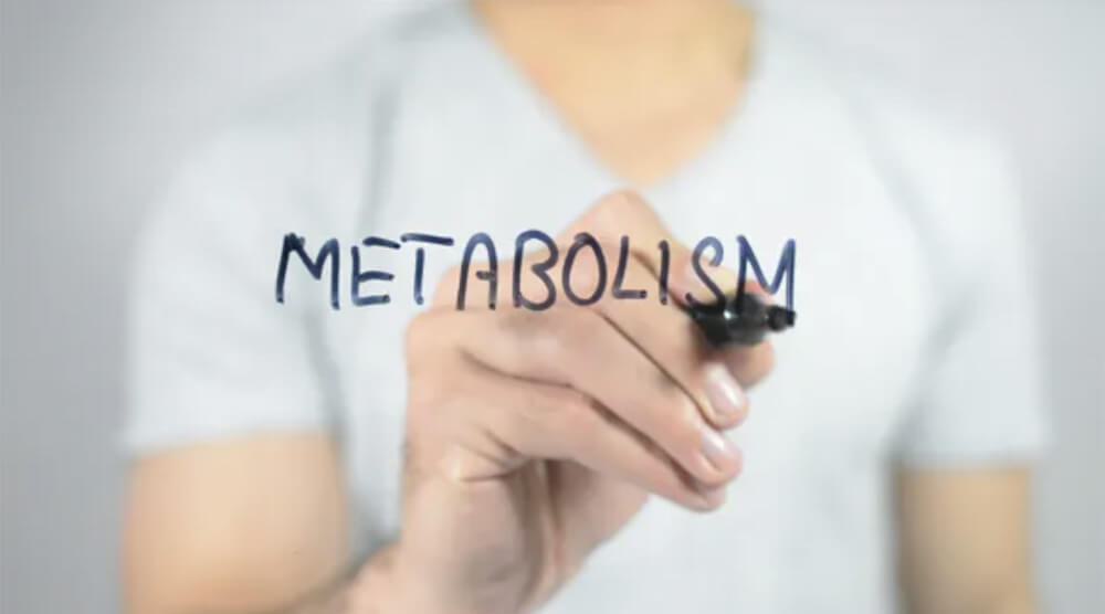 A person writing the word "METABOLISM" on a clear surface.