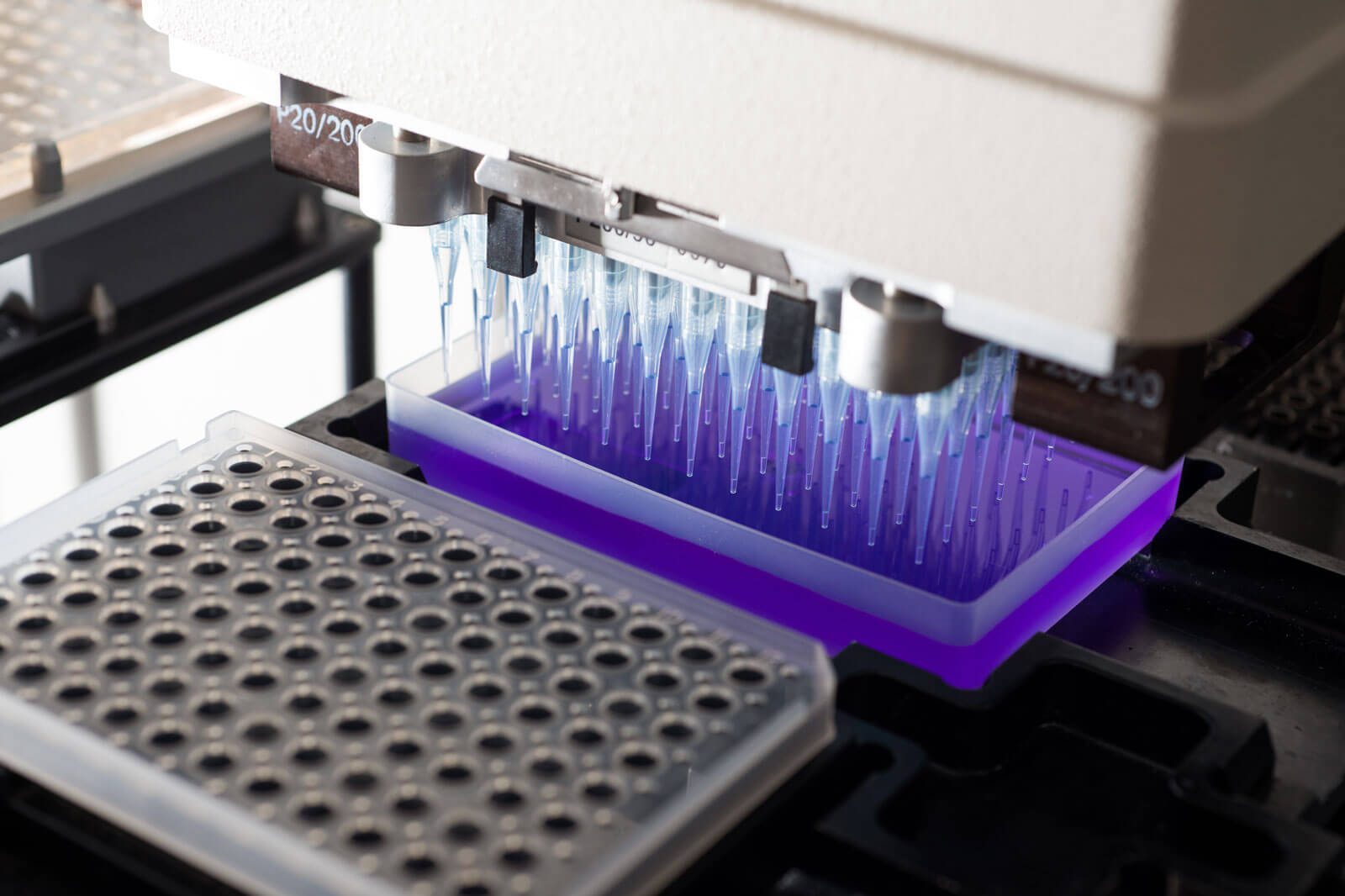 Automation & PCR Technology | Stowers Institute for Medical Research