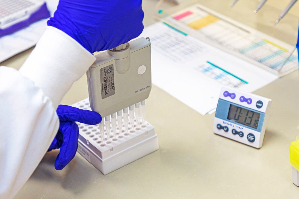 A researcher loading pipette reagents using a multichannel pipettor in to a 96-well plate