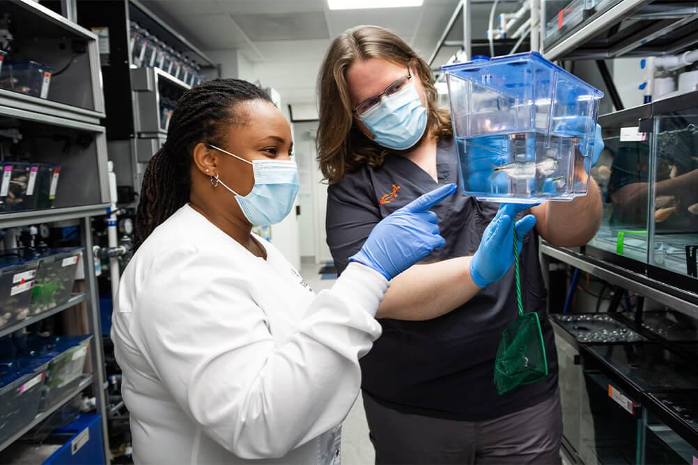 Stowers Institute for Medical Research | Postdoc Training Overview