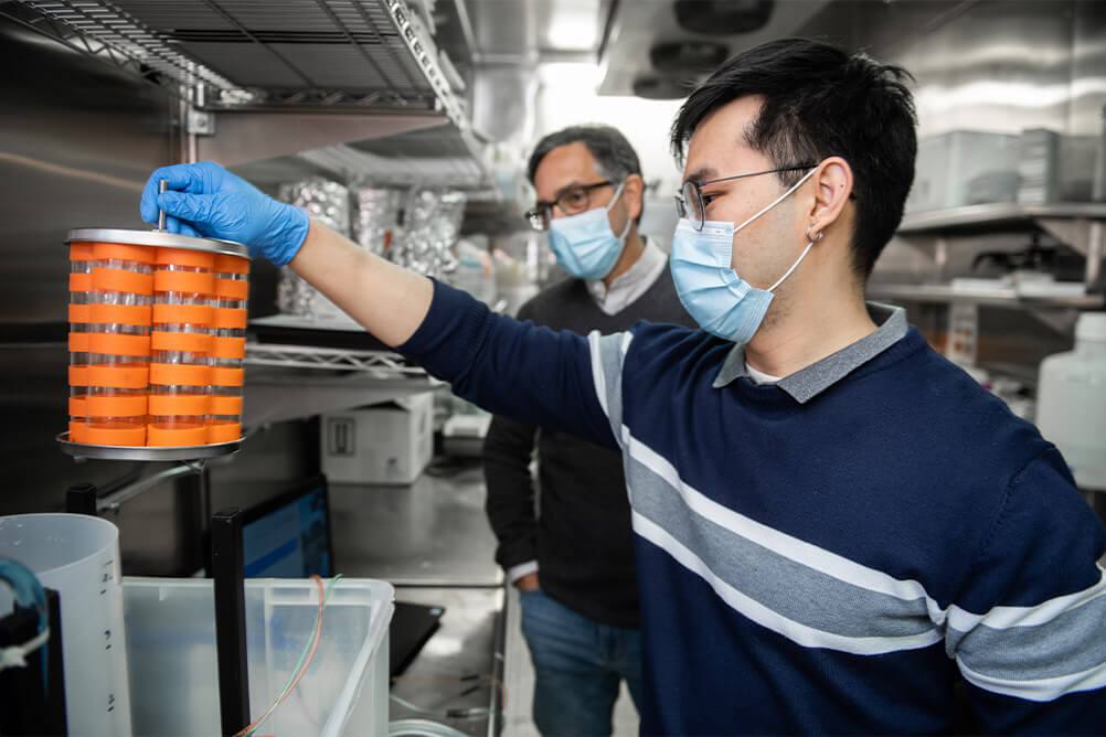 Stowers Institute for Medical Research | Postdoc Training Overview