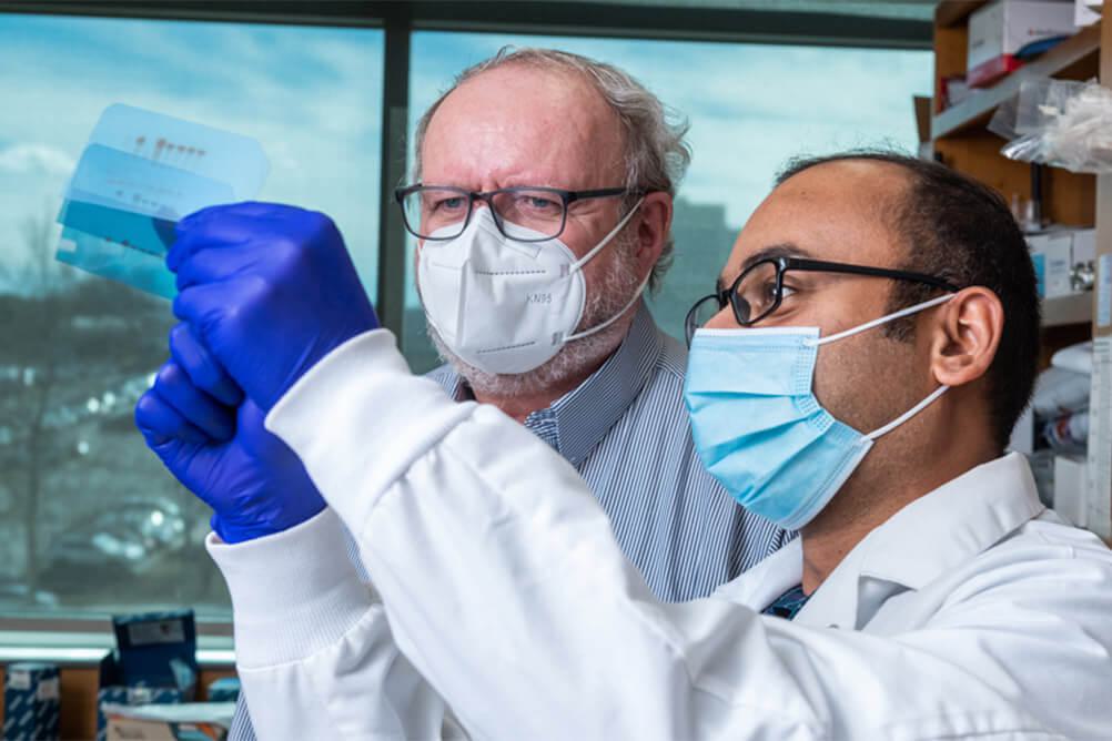 Stowers Institute for Medical Research | Postdoc Training Overview