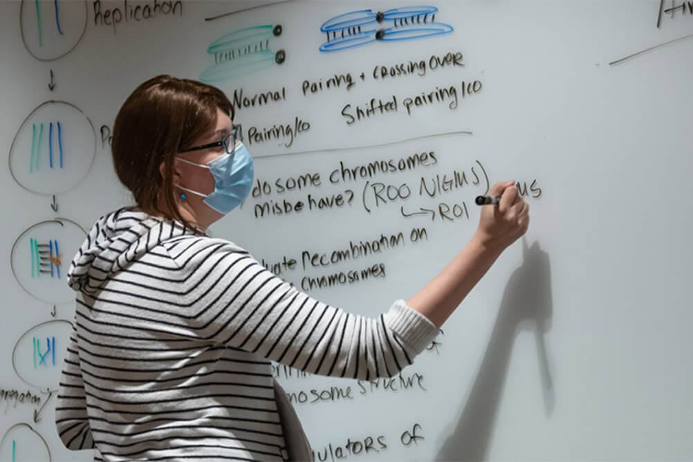 Woman writing on whiteboard