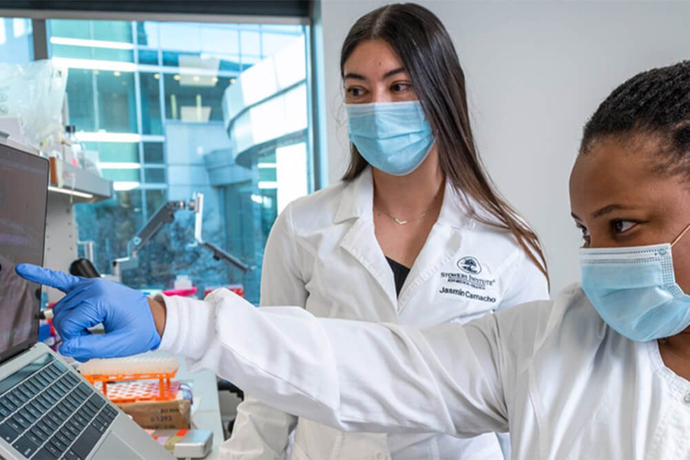 Posdoc Stowers Institute for Medical Research | Postdoc Training Overview