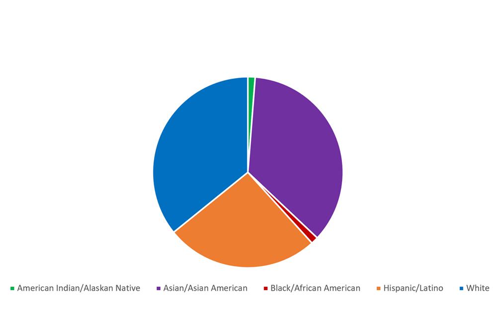 Pie chart indicating the races of the predocs