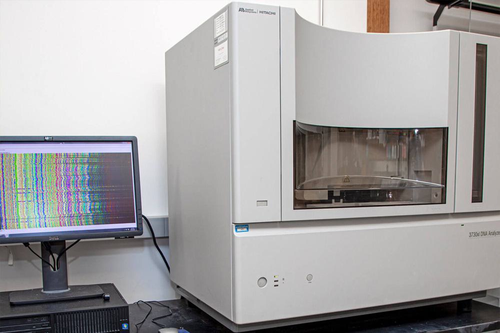 Applied Biosystems 3730xl Sequencer used for Sanger sequencing