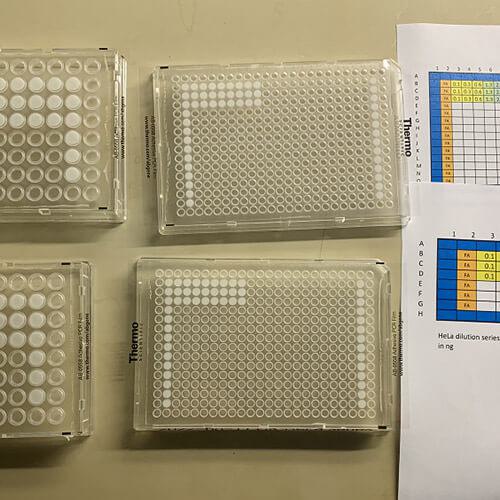 PCR Plates