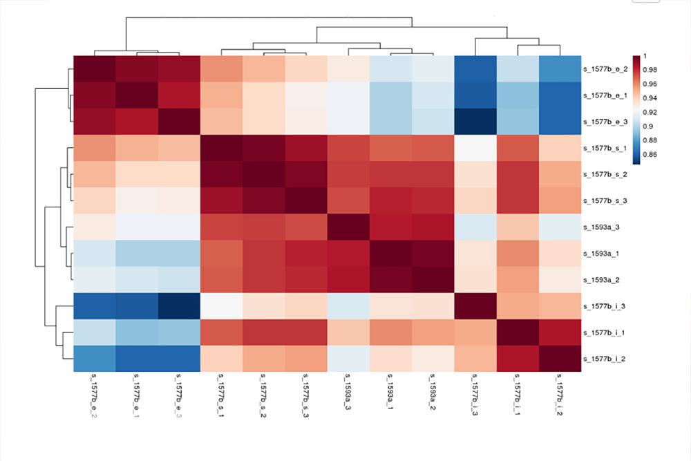 Heatmap plot of gene expression data