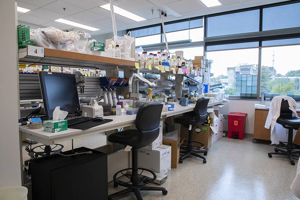 Stowers Institute for Medical Research | Our Research Campus