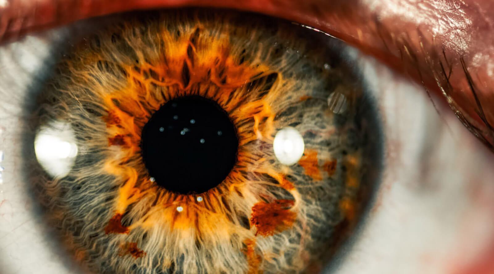 Close-up of the human eye with colorful gold iris