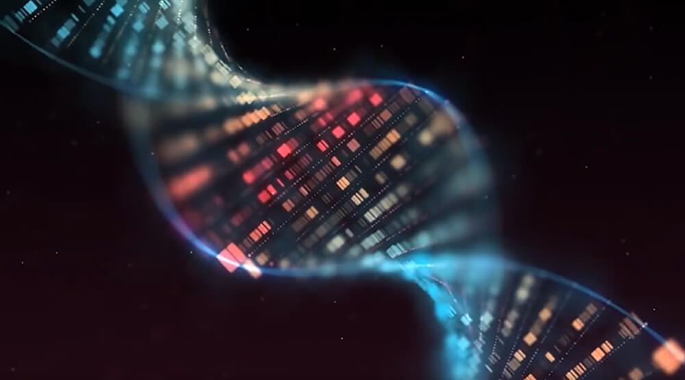 Image of DNA helix depicting genes in a genome.